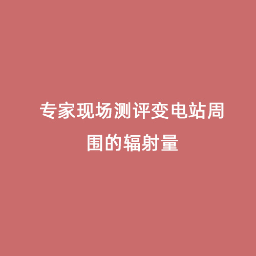 專(zhuān)家現場(chǎng)測評變電站周?chē)妮椛淞? alt=